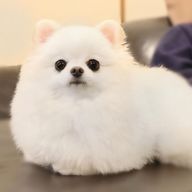 けんさんのアイコン画像