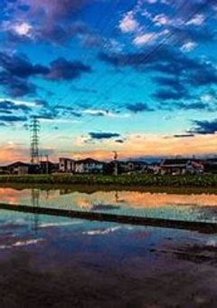 君と二人だけの精神病棟