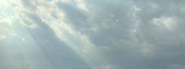 ラマさんの壁紙画像