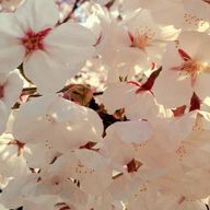 にゃおさんのアイコン画像