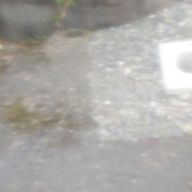 15846さんのアイコン画像