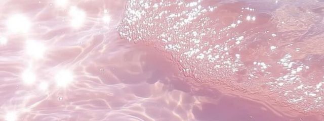 muffin_u.x.u🎀🪽　＠フォロバ100%さんの壁紙画像