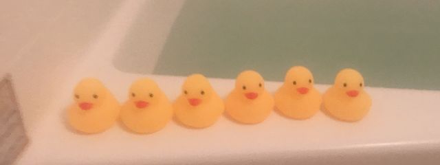 くまさんの壁紙画像