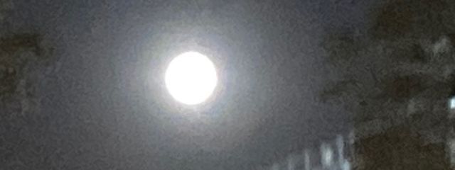 ユウレイ猫又chさんの壁紙画像