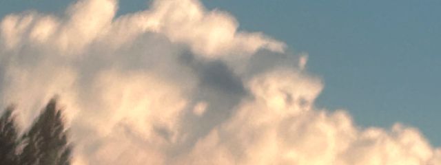 らー油さんの壁紙画像