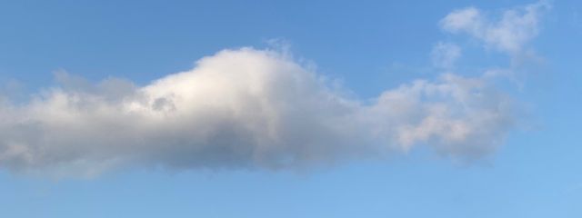 りりさんの壁紙画像