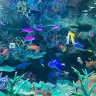 AoiKさんのアイコン画像