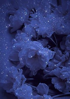 双子は運命共同体