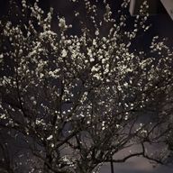 稲荷さんのアイコン画像
