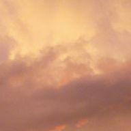 ユーザーページへ