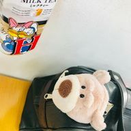 Mr.すー🐻さんのアイコン画像