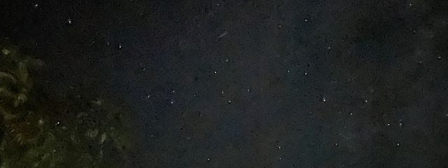 むうりさんの壁紙画像