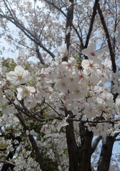 信号ブラザーズ