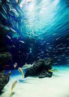 ♡裏♡SN TUBE♡🔞