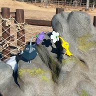 nikiさんのアイコン画像