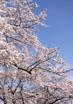 ほのぼの短編集