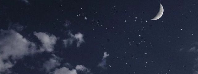 こいぬ。さんの壁紙画像