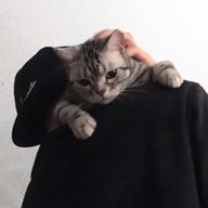 さむお先輩さんのアイコン画像
