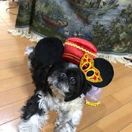 さくらんぼさんのアイコン画像