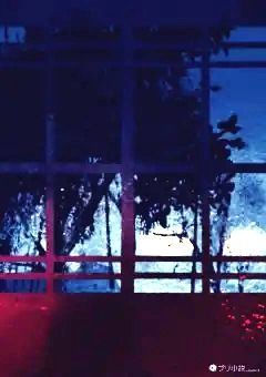 【参加型】他にも組織があったようで？