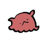 海のはるまきさんのアイコン画像