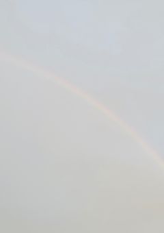 ( ・∇・)あはは