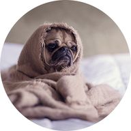 ま るさんのアイコン画像