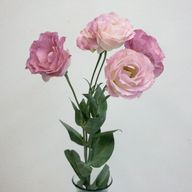 ゆう.さんのアイコン画像