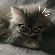  ︎︎さんのアイコン画像