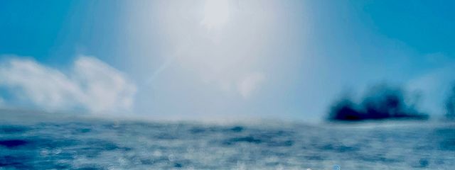 Leo-玲音-さんの壁紙画像