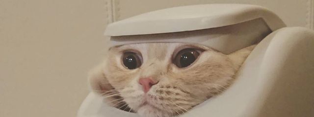 ＿ｱﾐ。🍼♡さんの壁紙画像