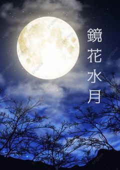 鏡 花 水 月_❀.*･ﾟ