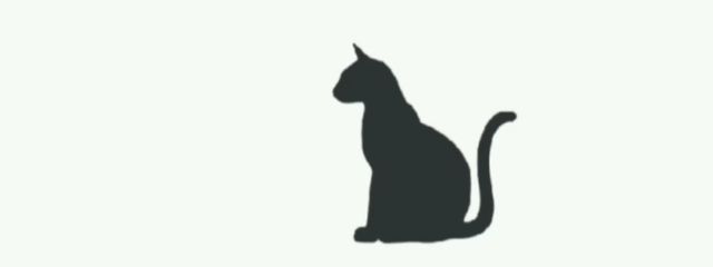 𝐌𝐢𝐚さんの壁紙画像