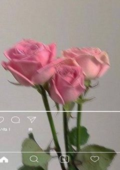 twicetagram