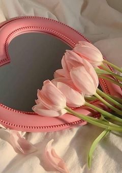 𝐈𝐧𝐬𝐭𝐚𝐠𝐫𝐚𝐦𝐦𝐞𝐫𝐬