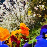 mmmさんのアイコン画像