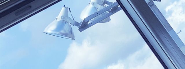 白﨑さんの壁紙画像