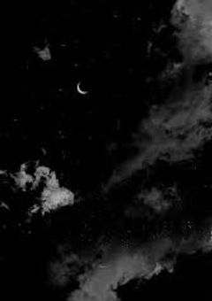 綺麗な星が見たくて　　　　　　　　　　　『Harry Potter』