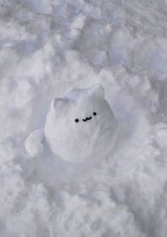 お友達になって！🫂