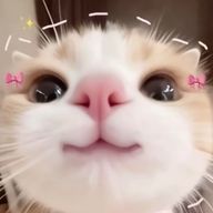 迷さんのアイコン画像