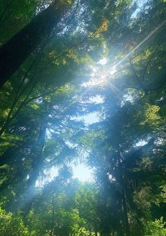 　【 CTQ 】　僕らの場所　