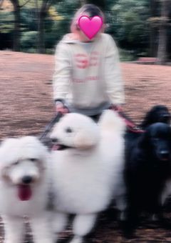 #起きたら愛犬達が人間になってました【雪男】