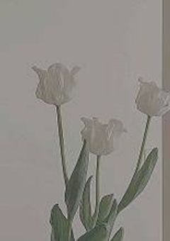  今 日 か ら 家 族