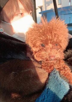 振り向いてください