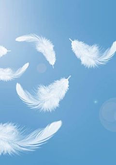 羽 ば た け 出 来 損 な い HERO !!