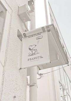 〜 m y f r i e n d 〜