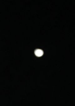 今後について(  ◜௰◝  )