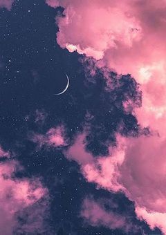 『 曲 』の 本 屋 さ ん