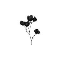 nightさんのアイコン画像