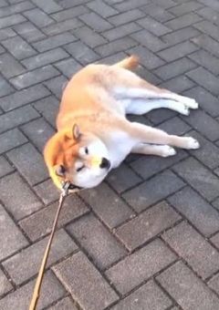 病み構文をオモロくするやつ